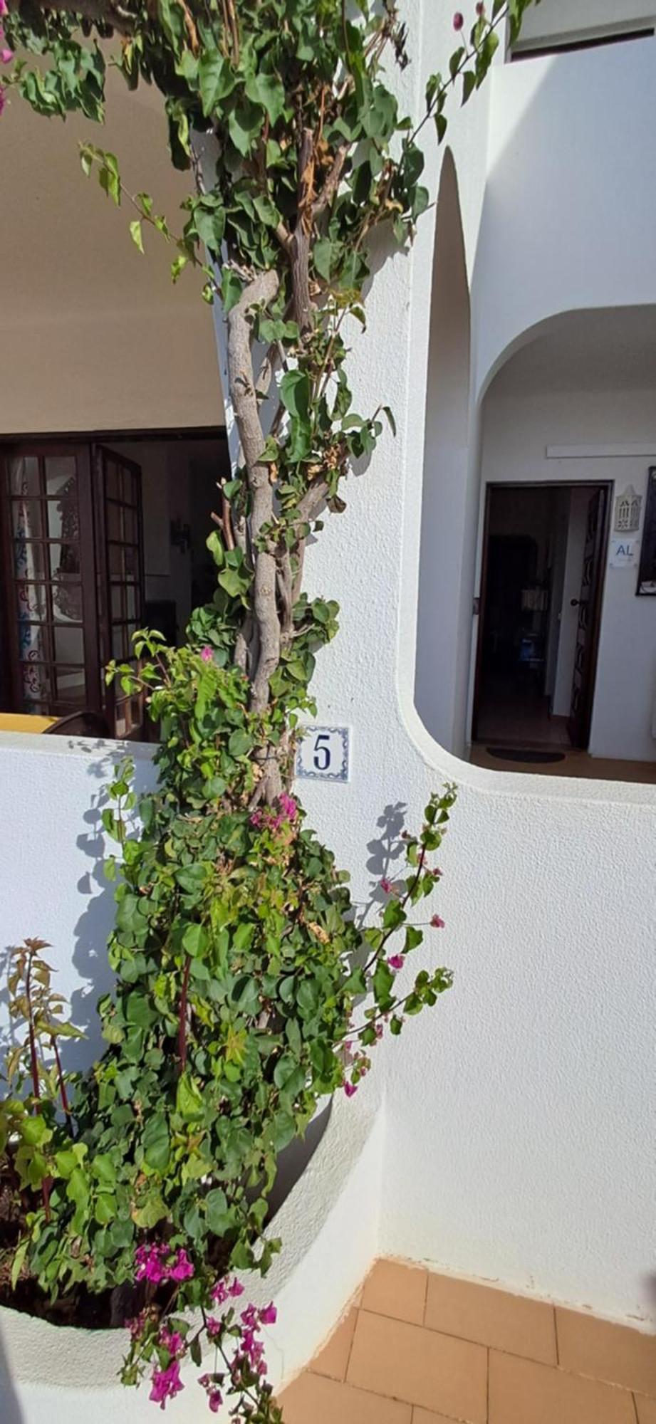 Apartamento Neptuno Benagil Ngoại thất bức ảnh